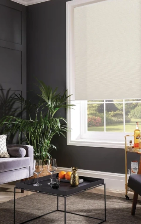 Honeycomb Blinds